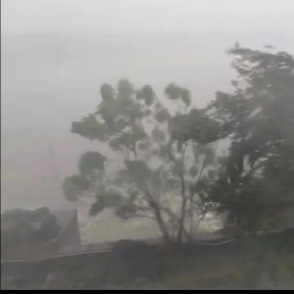 摩羯 考驗(yàn)輕松過(guò)！探秘歐西盾TPO單層屋面系統(tǒng)的抗風(fēng)之妙